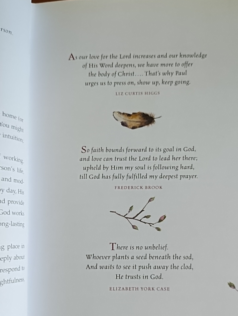Everyday Grace 60 Devotions Scripture Quotes Art Drawings Ellie Claire Christian - Picture 6 of 11
